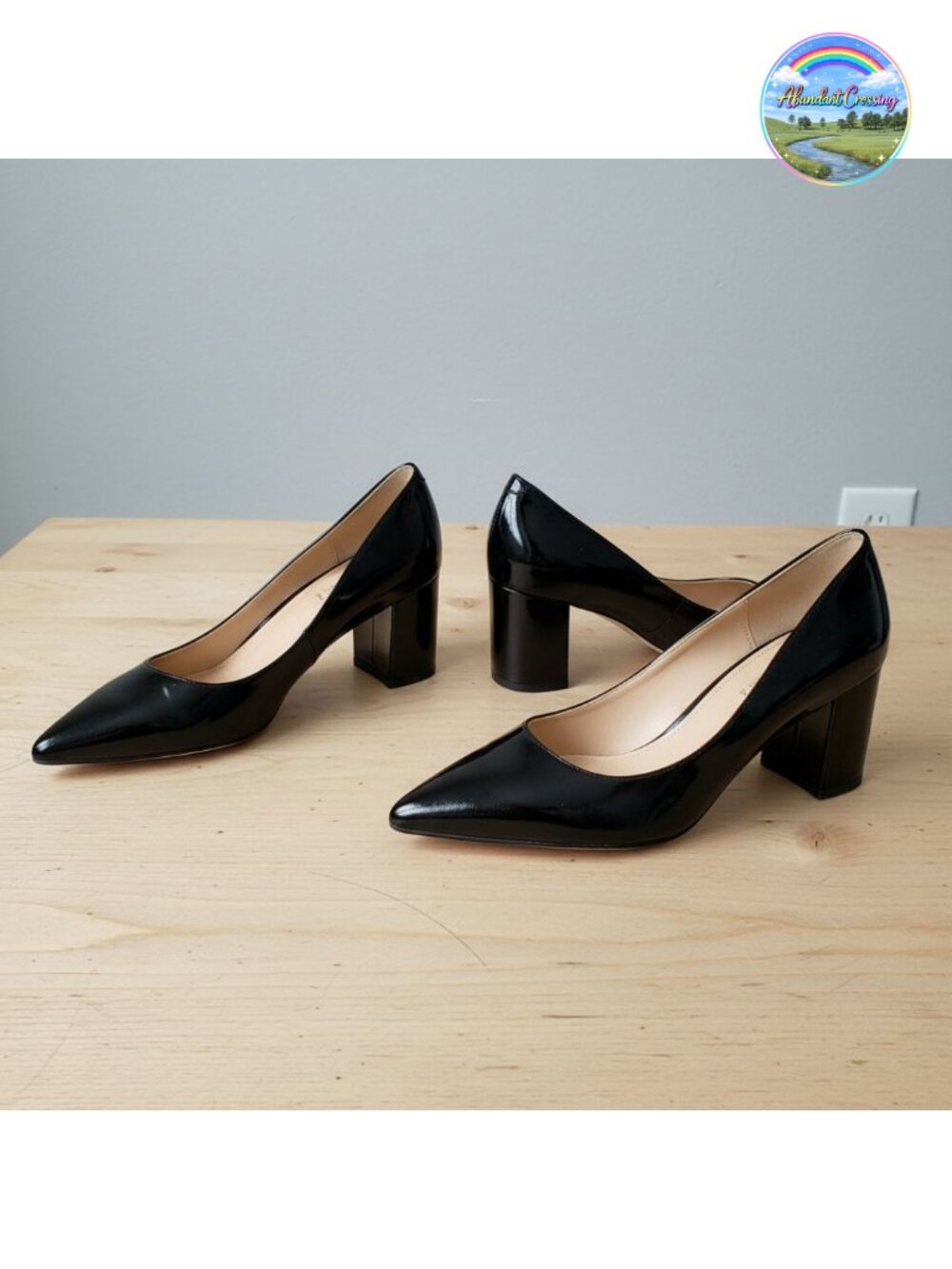 Pointed Toe Chunky Block Heel Pumps Ankle Strap Business Casual